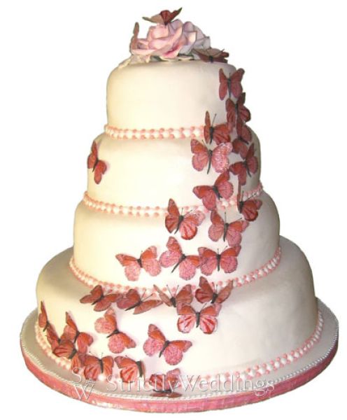 Com we are loving the Butterfly Theme for your Big Day